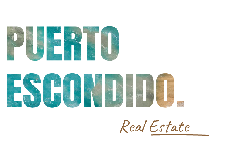 Expat Living Guide: Oaxaca 2025